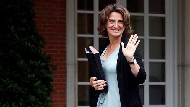 cumplimos nuestro primer año