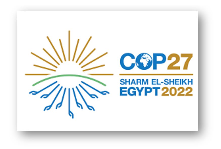 COP27