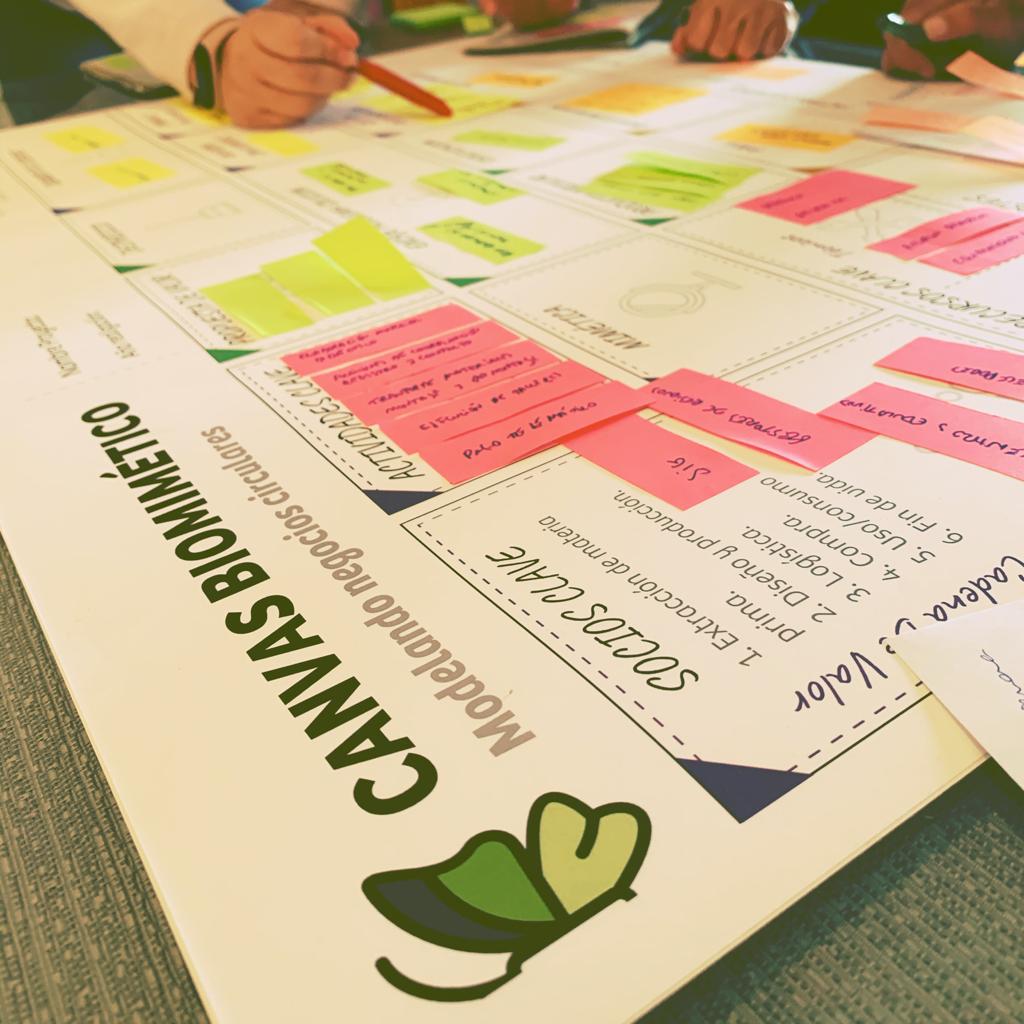 Canvas Biomimetico 2